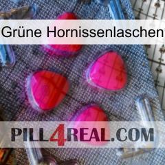 Grüne Hornissenlaschen 13